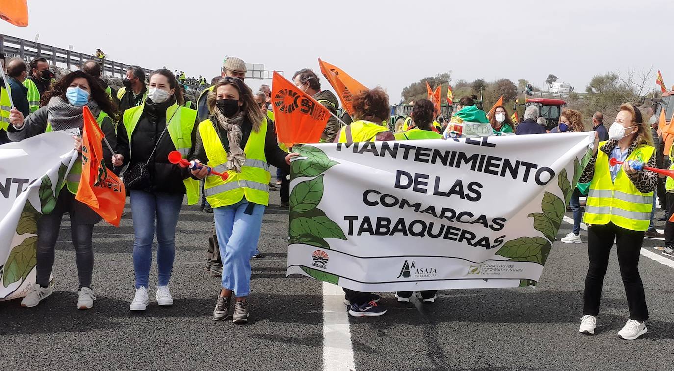 Fotos: Protesta tabaquera en la autovía de Extremadura
