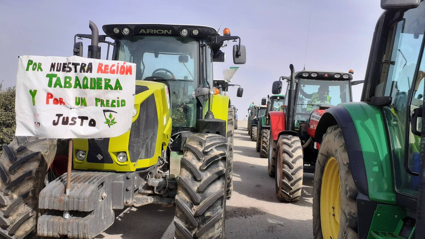 Fotos: Protesta tabaquera en la autovía de Extremadura