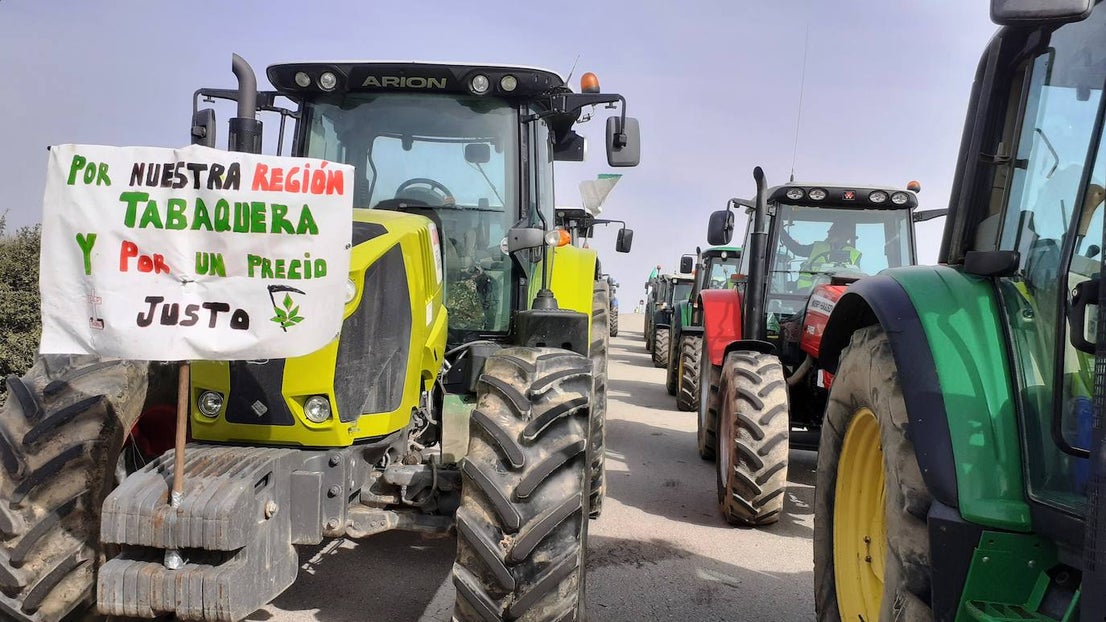 Fotos: Protesta tabaquera en la autovía de Extremadura