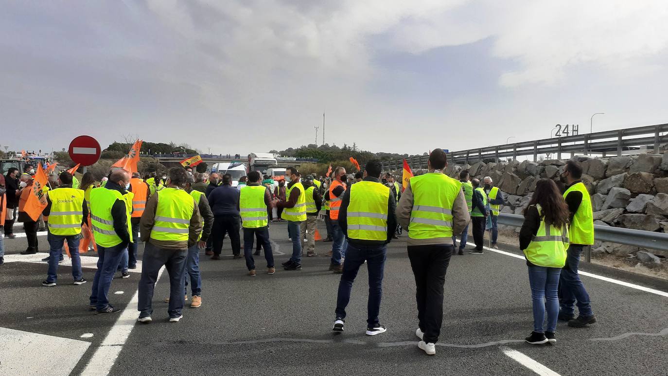 Fotos: Protesta tabaquera en la autovía de Extremadura