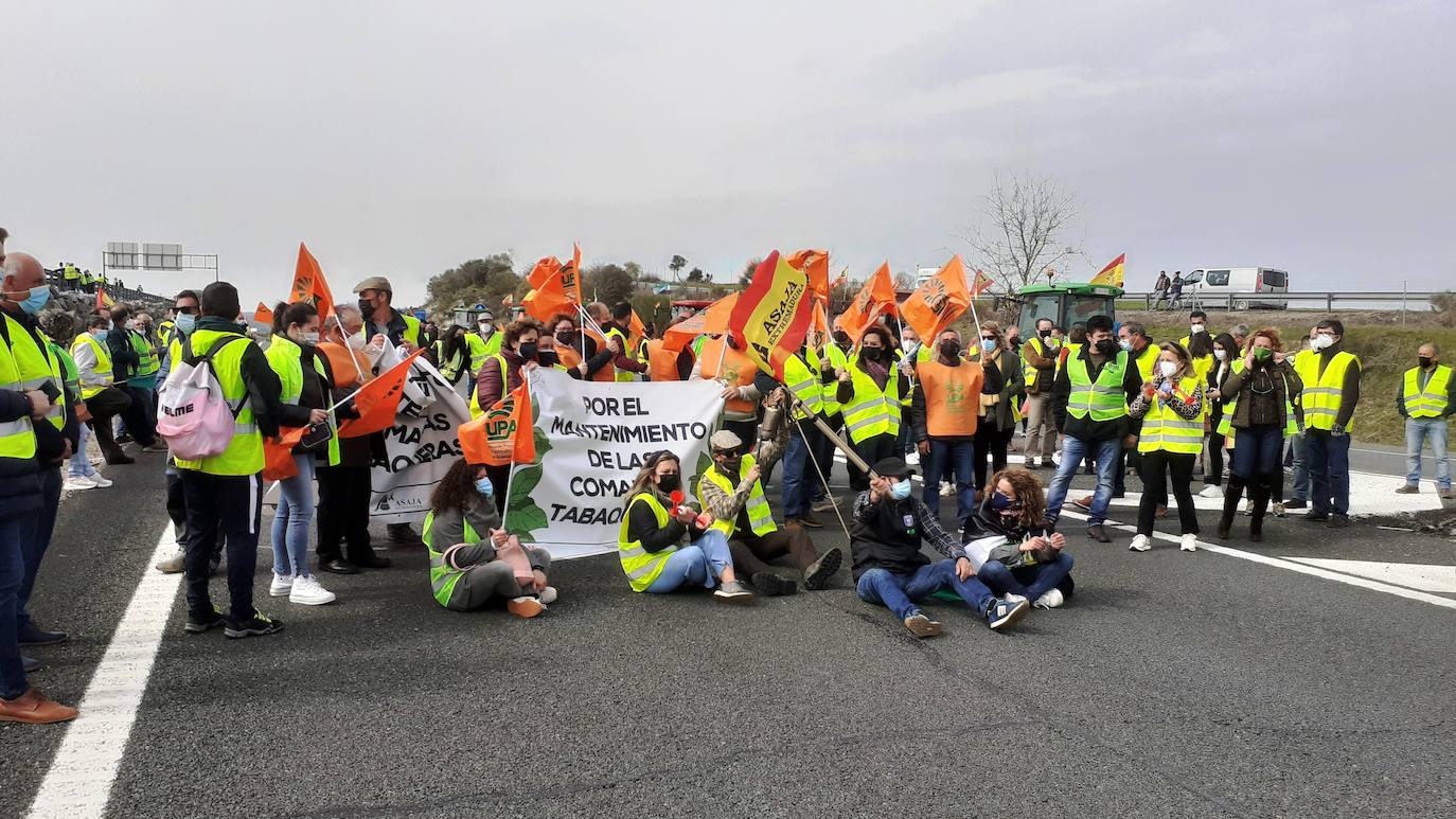 Fotos: Protesta tabaquera en la autovía de Extremadura