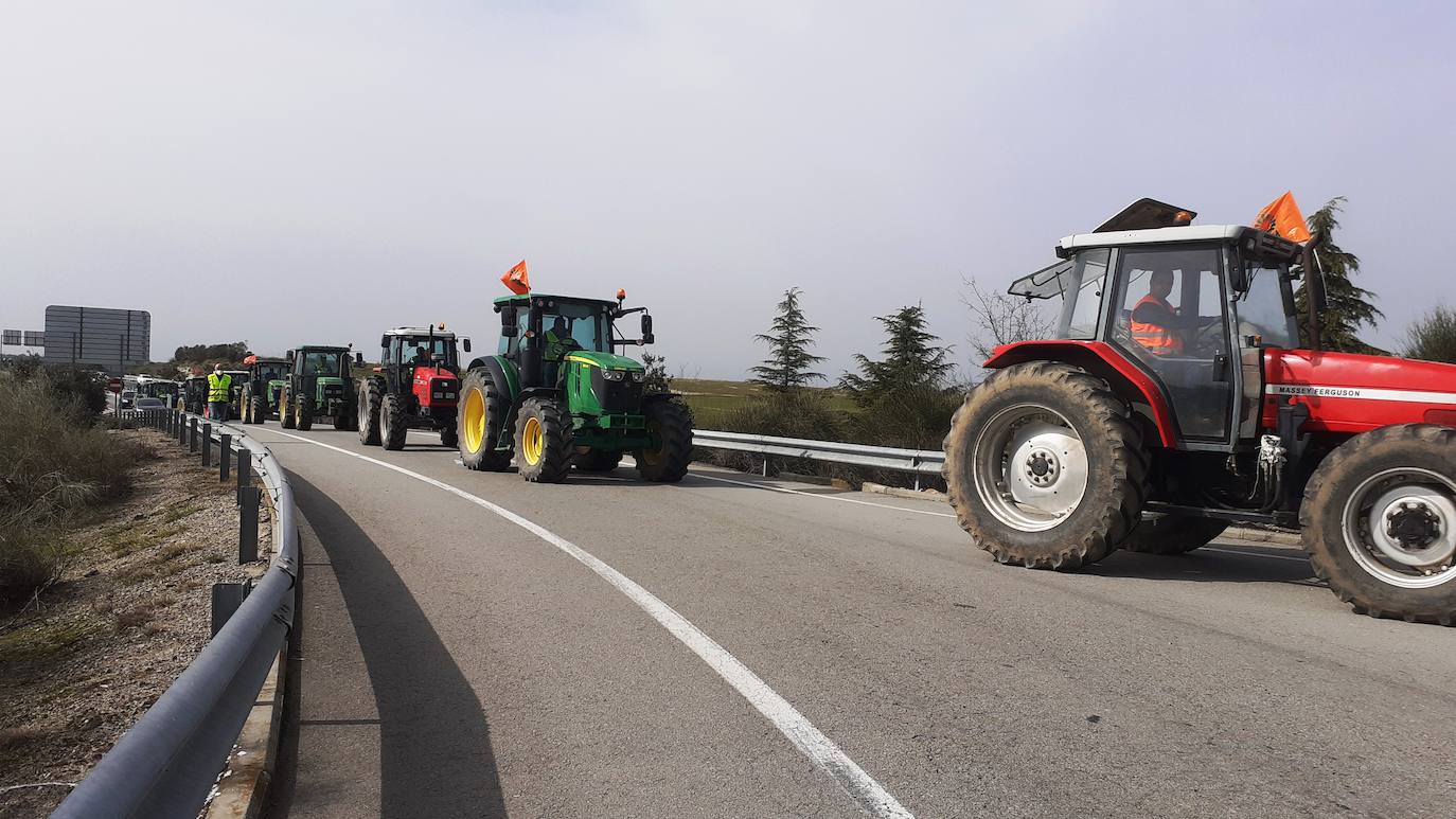 Fotos: Protesta tabaquera en la autovía de Extremadura