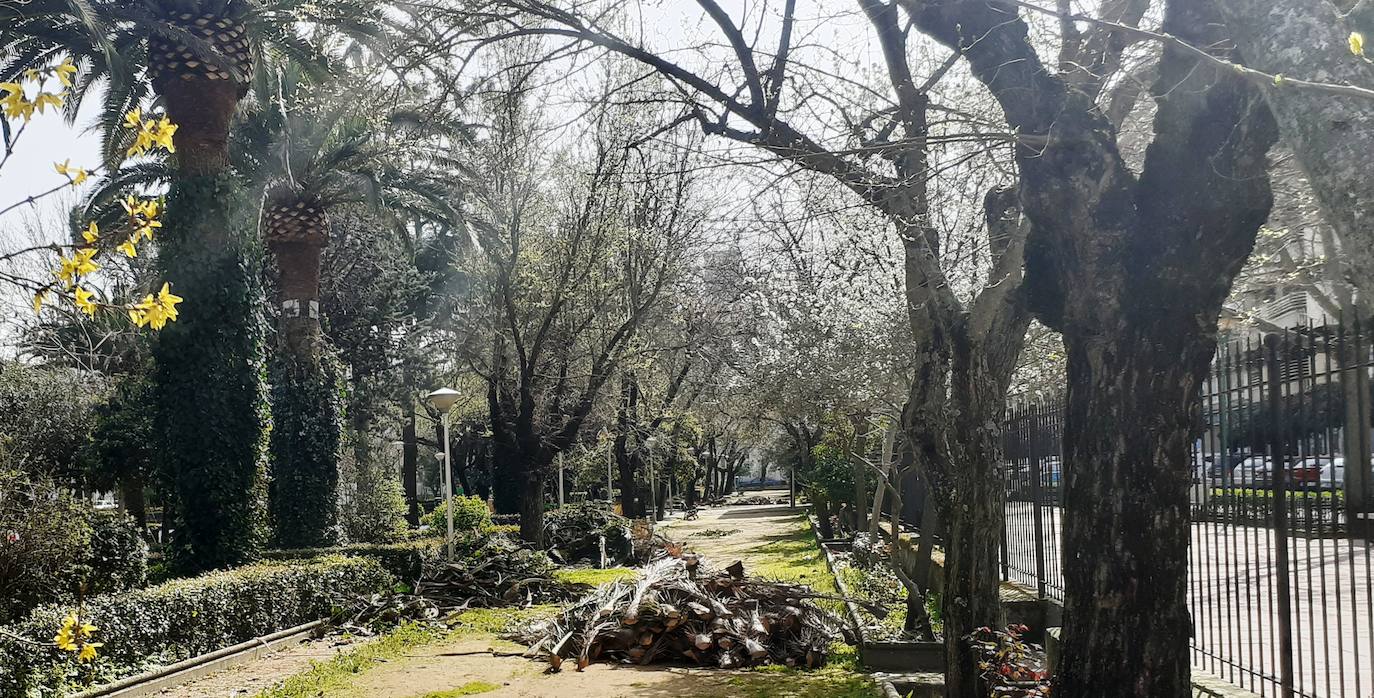 Restos de poda acumulados en el parque municipal 