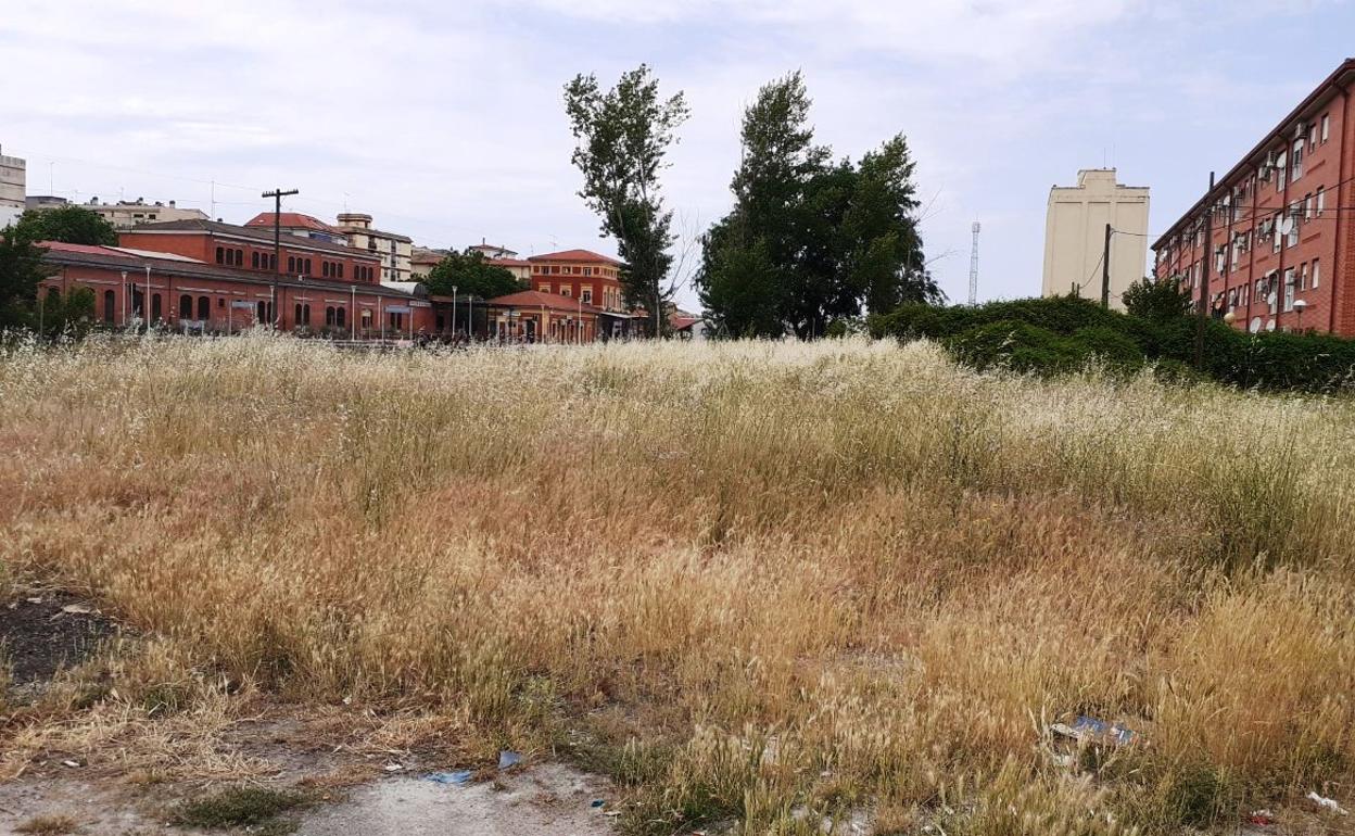 Un bando recuerda la obligación de limpiar los pastos urbanos