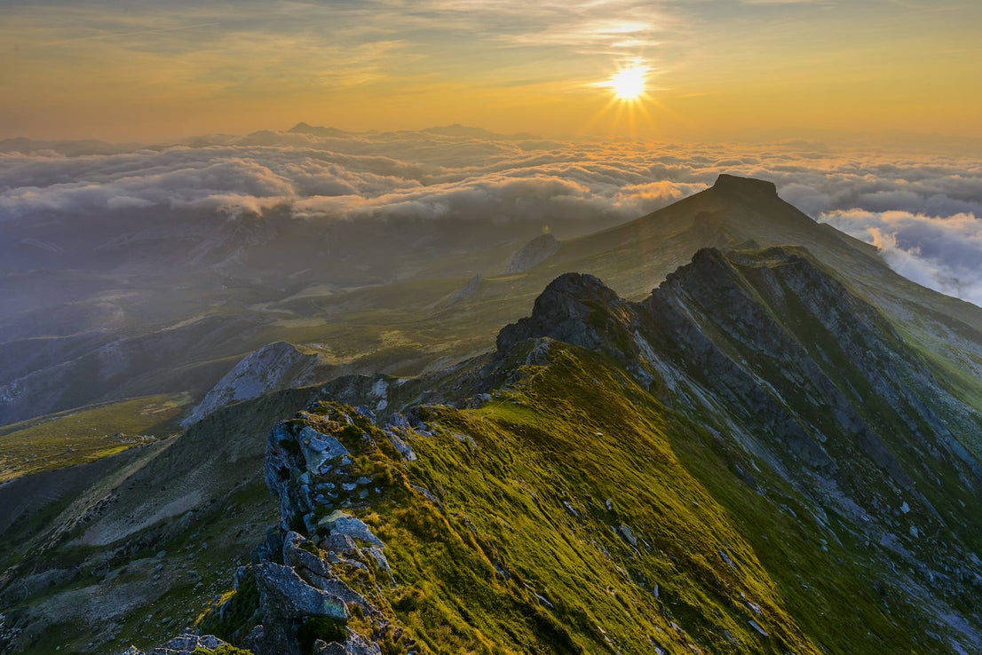 Fotos: La naturaleza en fotografías de Rafa Ruiz