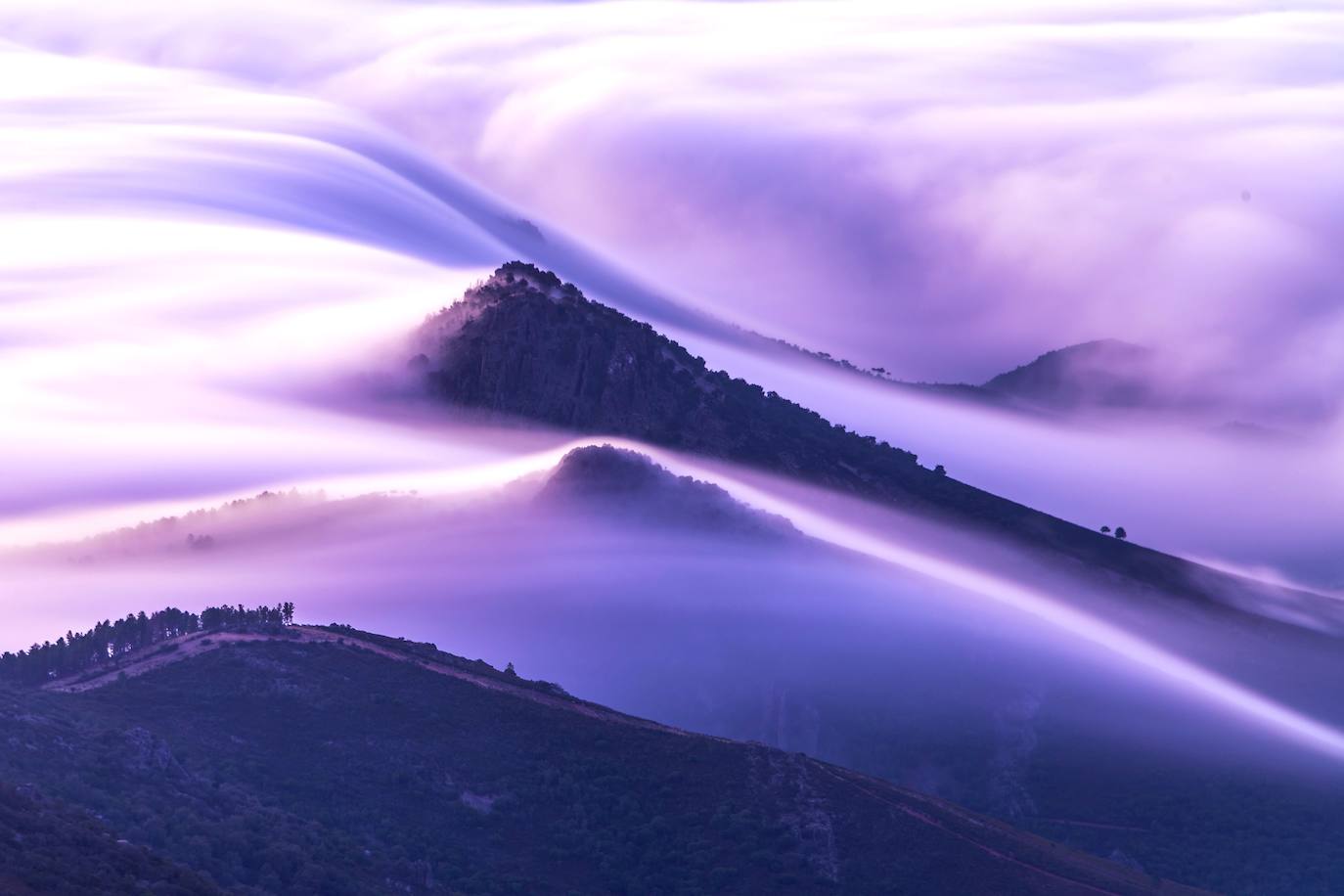 Fotos: La naturaleza en fotografías de Rafa Ruiz