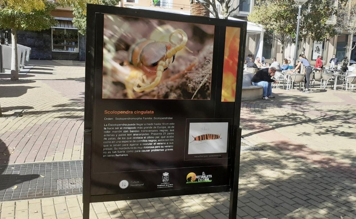 Uno de los paneles culturales, instalado en el Jardincillo 