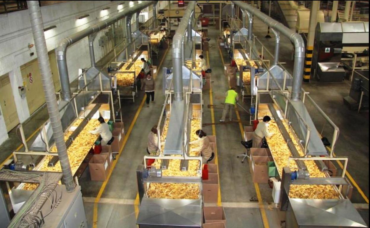 Instalaciones de Cetarsa en Talayuela 
