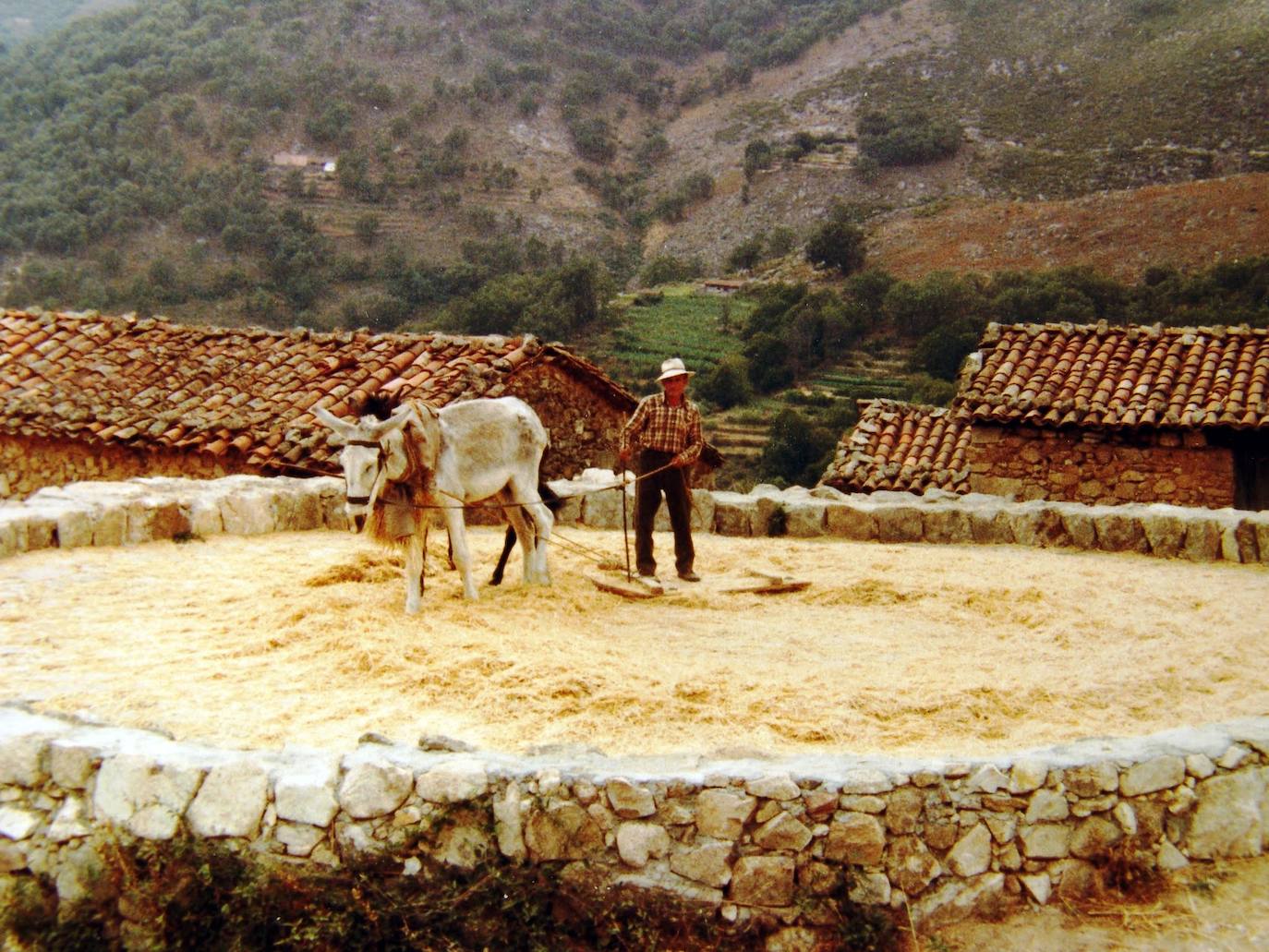 La era del Llano 