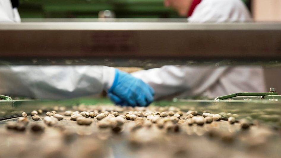 El Ayuntamiento asegura que ha prestado toda la ayuda posible al propietario de la empresa de pistachos