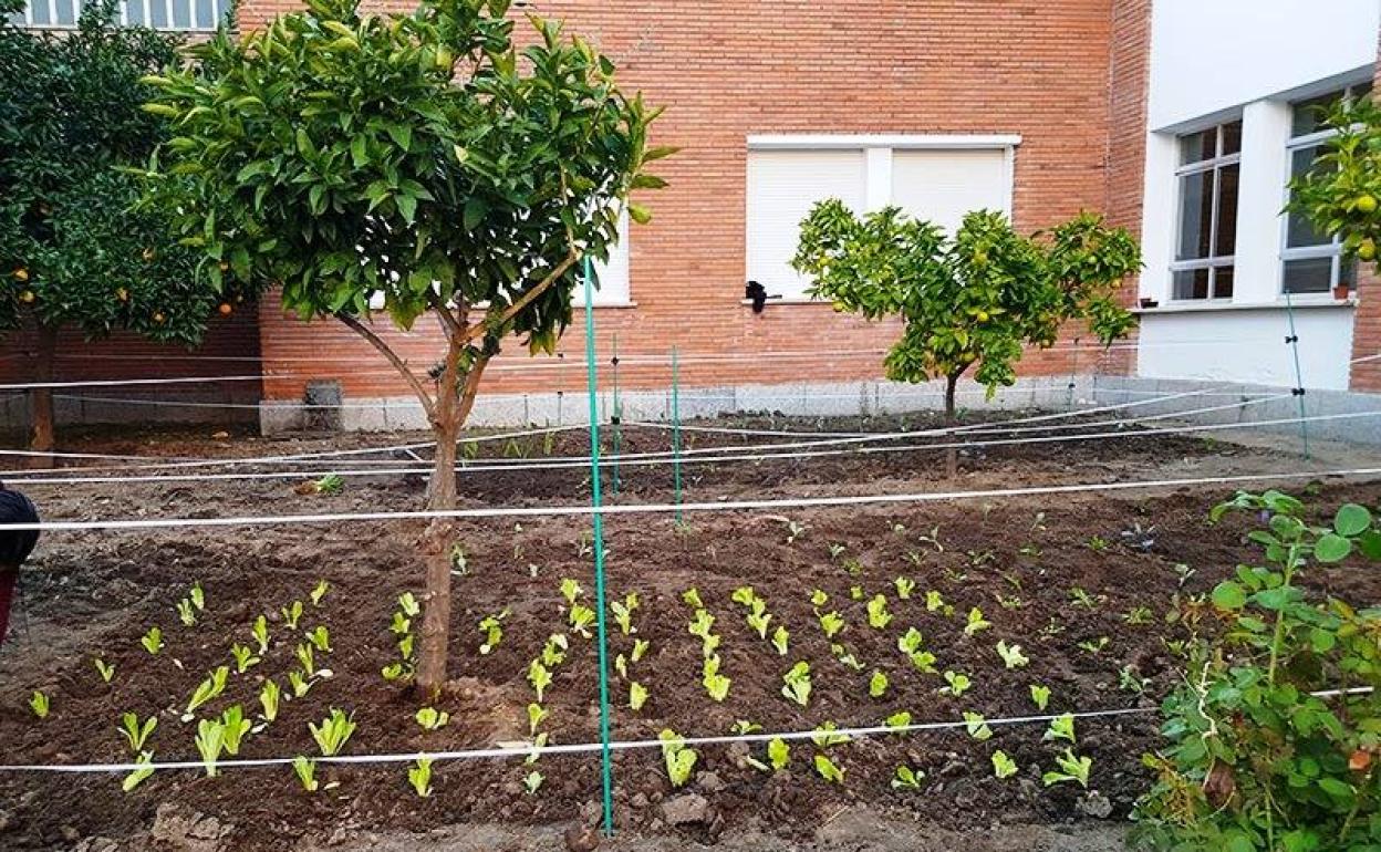 El IES Augustóbriga, adscrito a la Red Extremeña de Ecocentros, lleva a cabo talleres de concienciación ecológica