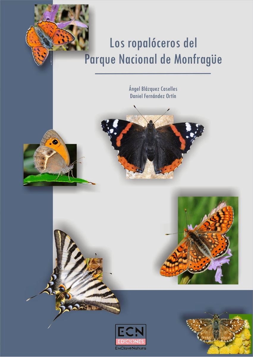 Portada de la publicación 