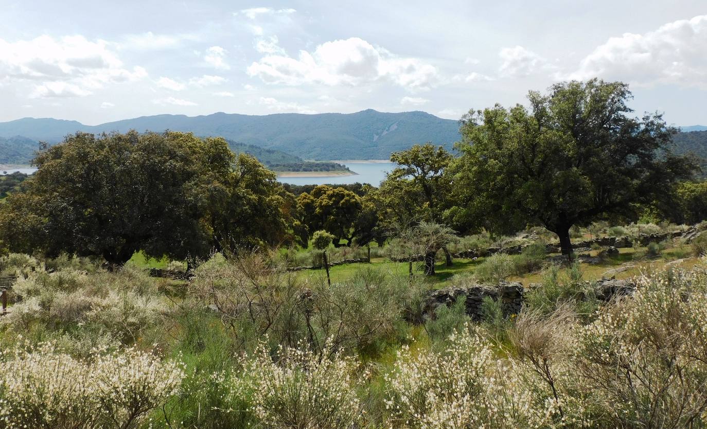 Fotos: Multitudinaria convivencia del grupo de naturaleza