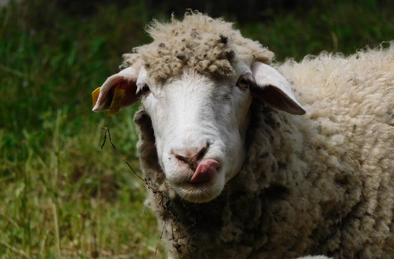 Fotos: Multitudinaria convivencia del grupo de naturaleza