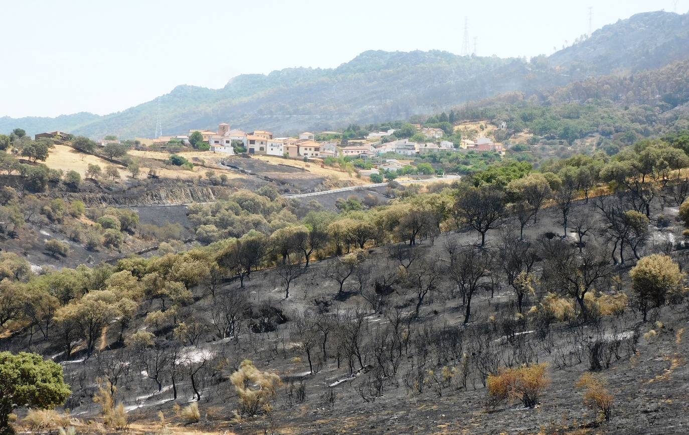 Fotos: Los incendios, en imágenes