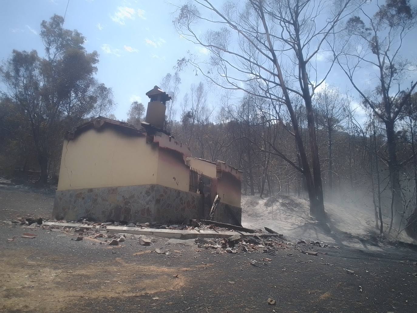 Fotos: Los incendios, en imágenes