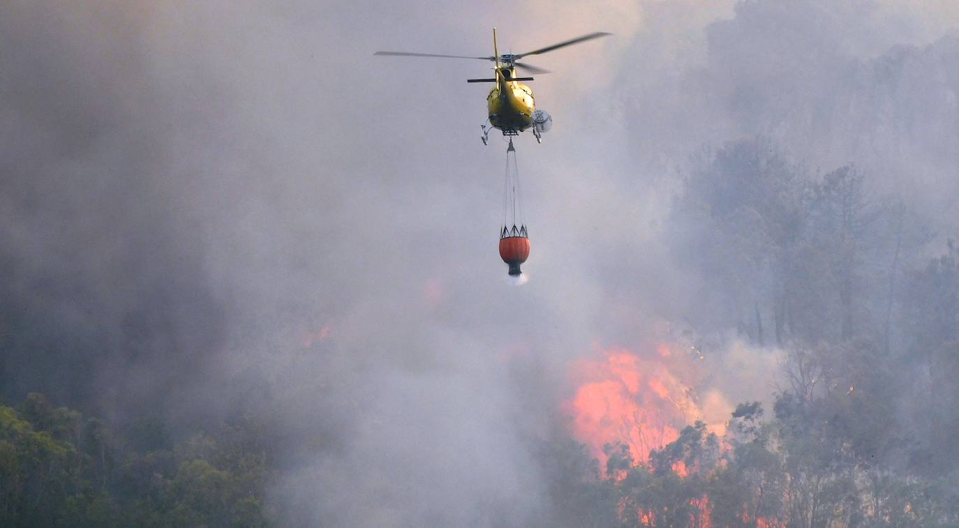 Fotos: Los incendios, en imágenes