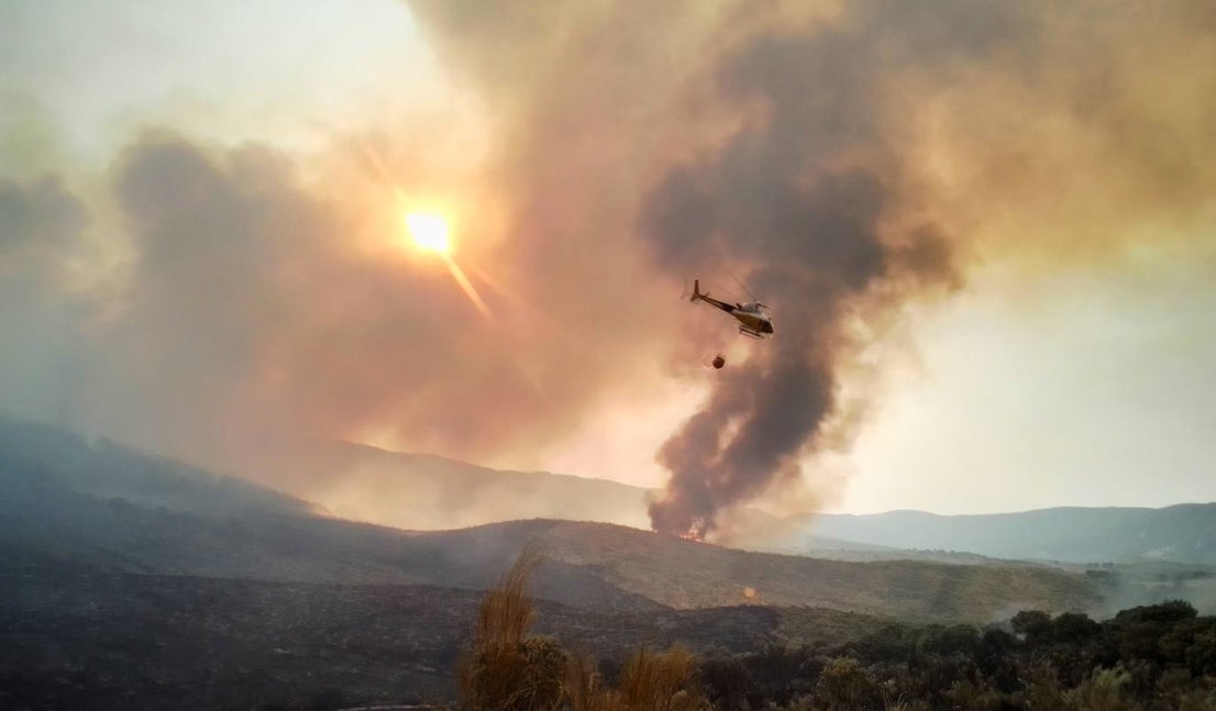 Fotos: Los incendios, en imágenes