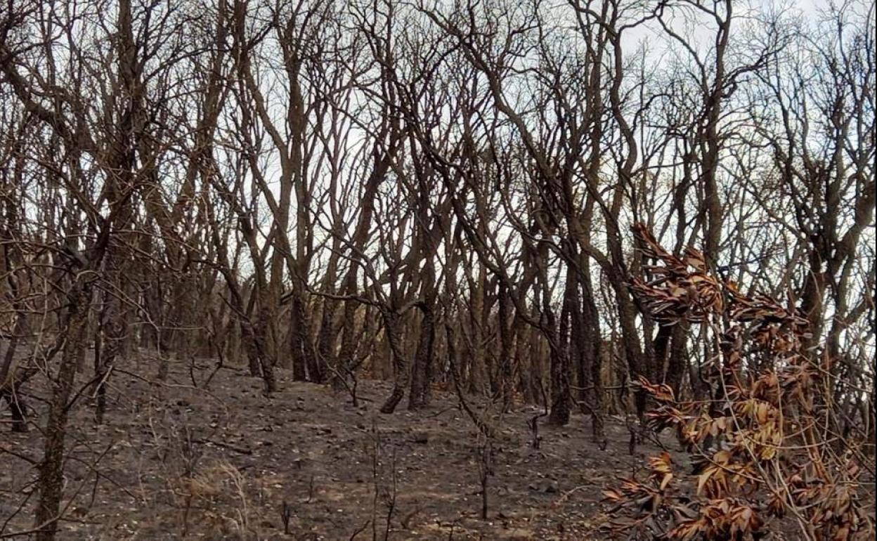 Una exposición, testigo de una tragedia para no olvidar