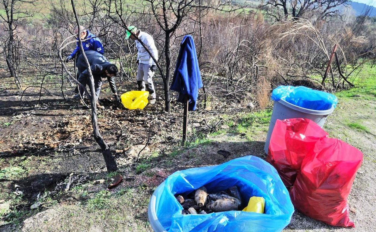 El incendio de Miravete deja al descubierto abundante basura