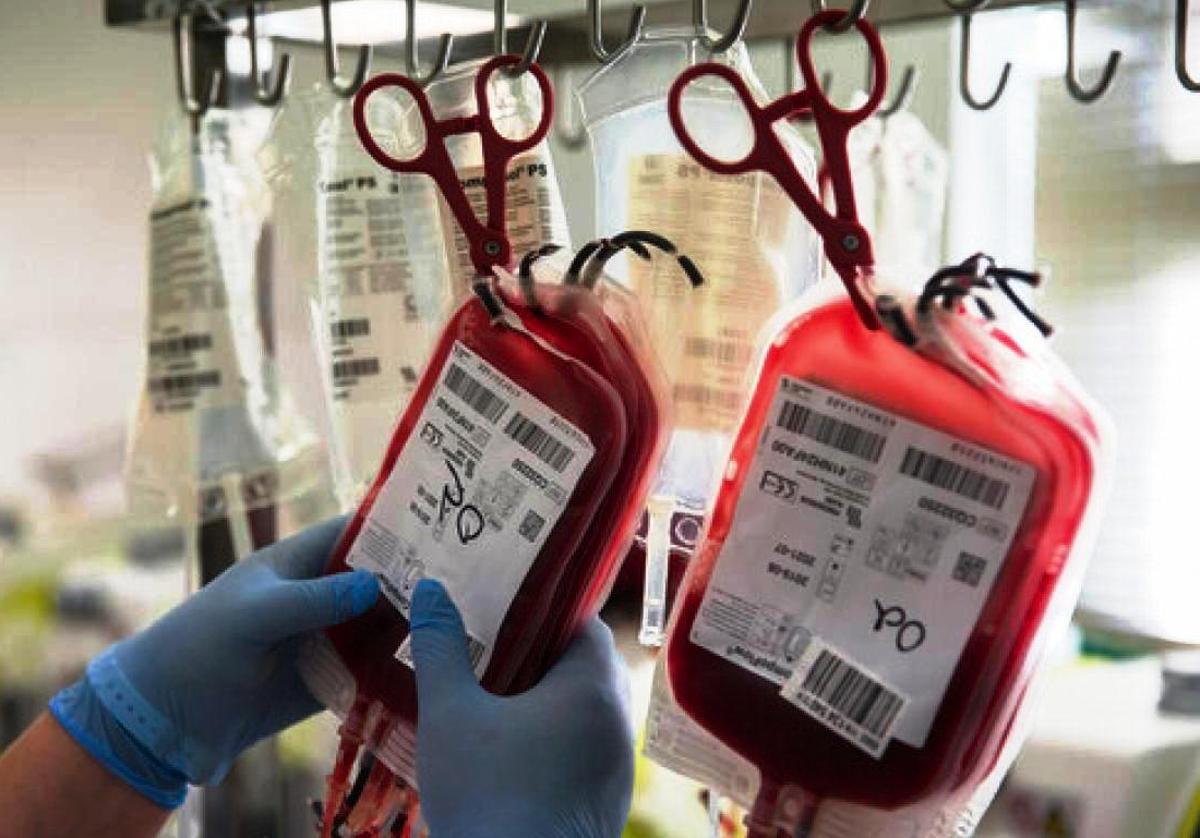 La Hermandad de Donantes de Sangre realizará cuatro salidas en junio