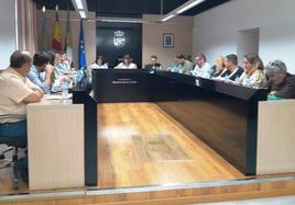 Penúltimo pleno de la actual legislatura