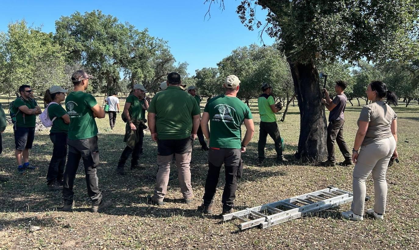 Jornadas del Descorche en Toril