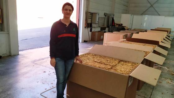«CETARSA es garantía de continuidad, respalda al sector», dice Noelia Cabrera
