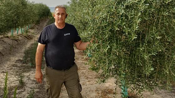 «El aceite extremeño es tan bueno o mejor que el resto», afirma Javier Martín
