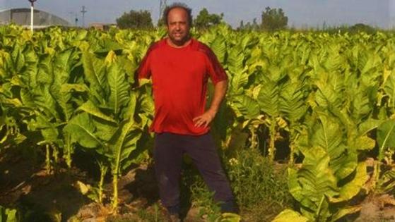 «Esta campaña va a ser mala, es verdad, pero el tabaco sigue teniendo futuro»