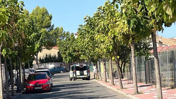 Muere una mujer de 85 años tras ser atropellada en Casatejada