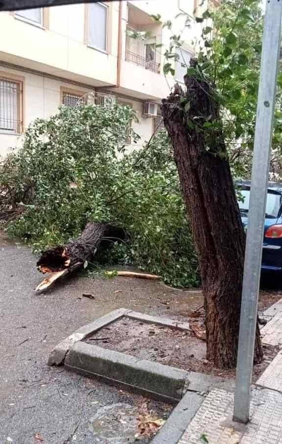 Los rastros de la borrasca