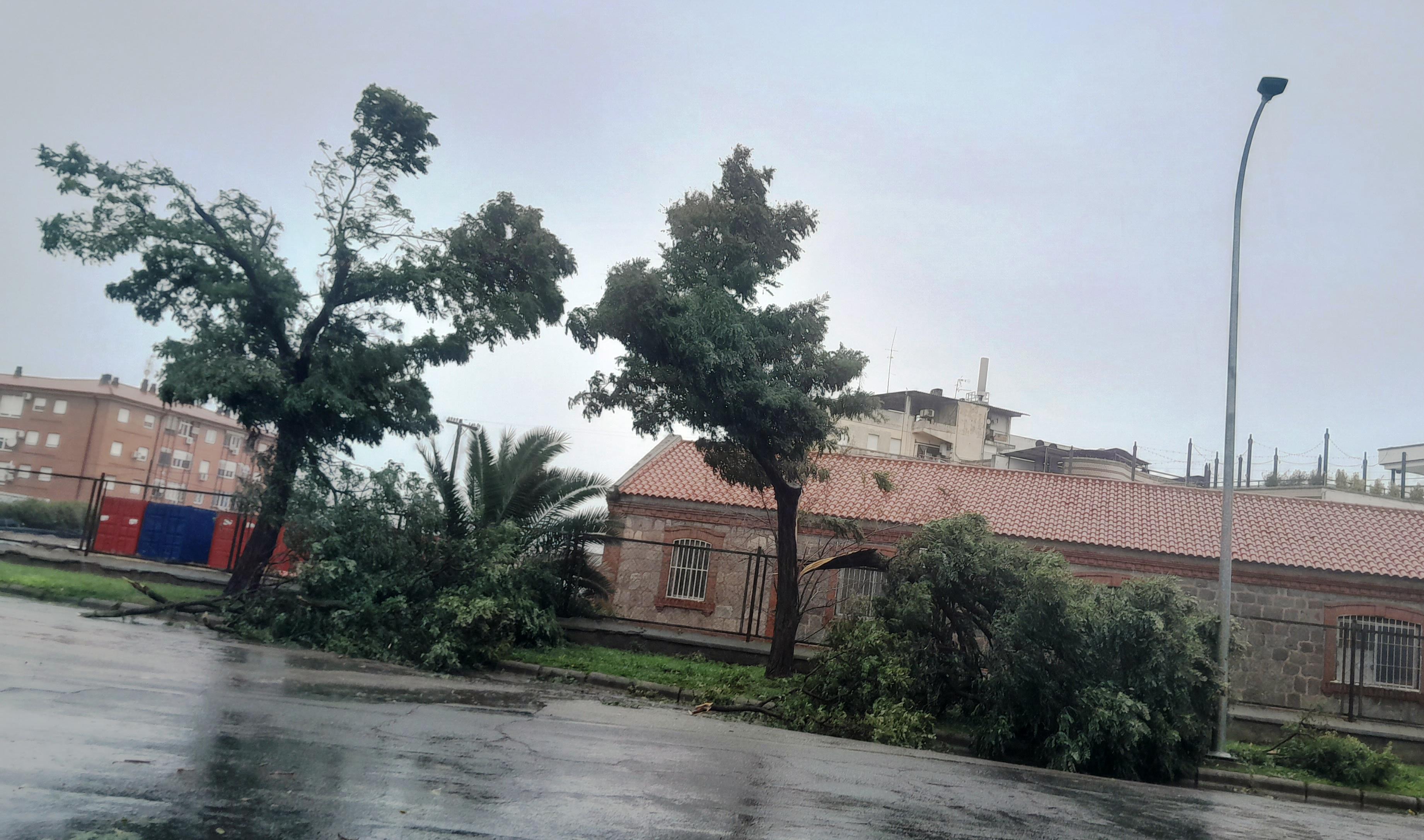 Los rastros de la borrasca