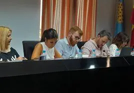 Grupo municipal socialista en el pleno