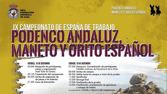 Navalmoral acoge el IX Campeonato de España de trabajo para Podenco, Maneto y Orito Español