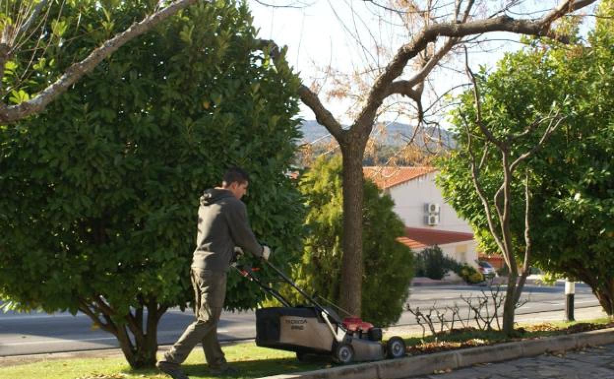 Operario de servicios múltiples en las calles de Romangordo 