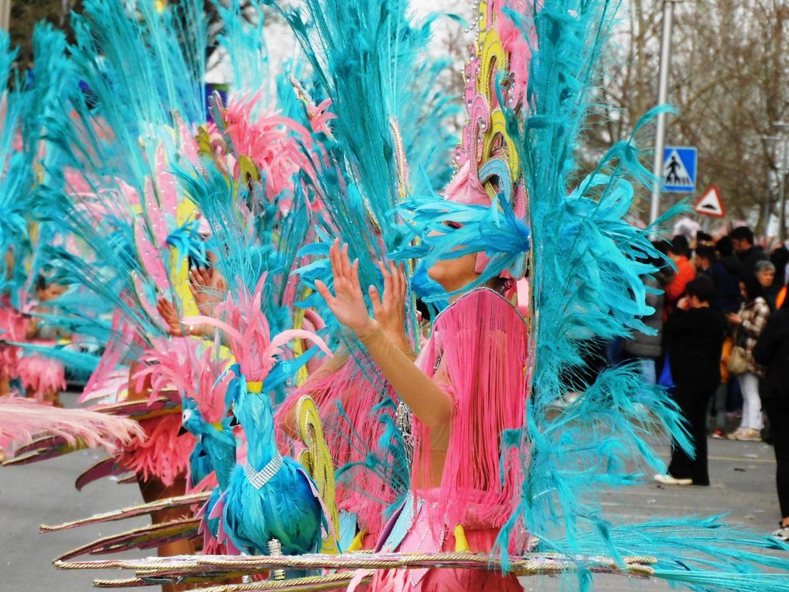 Fotos: Carrozas y comparsas