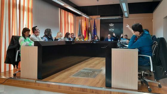El pleno aprueba modificaciones de crédito que superan los 4 millones de euros