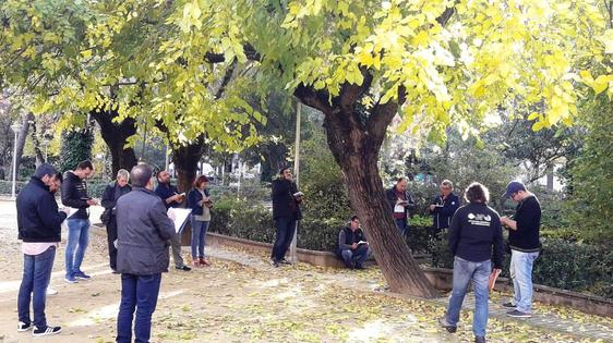 El alcalde publica un bando con medidas de protección del arbolado urbano
