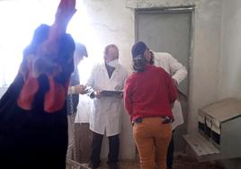 Gallina curiosa en Los Encepados