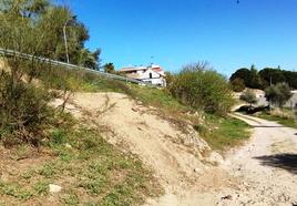 Nuevamente el pulmón verde amenazado