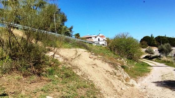 Nuevamente el pulmón verde amenazado