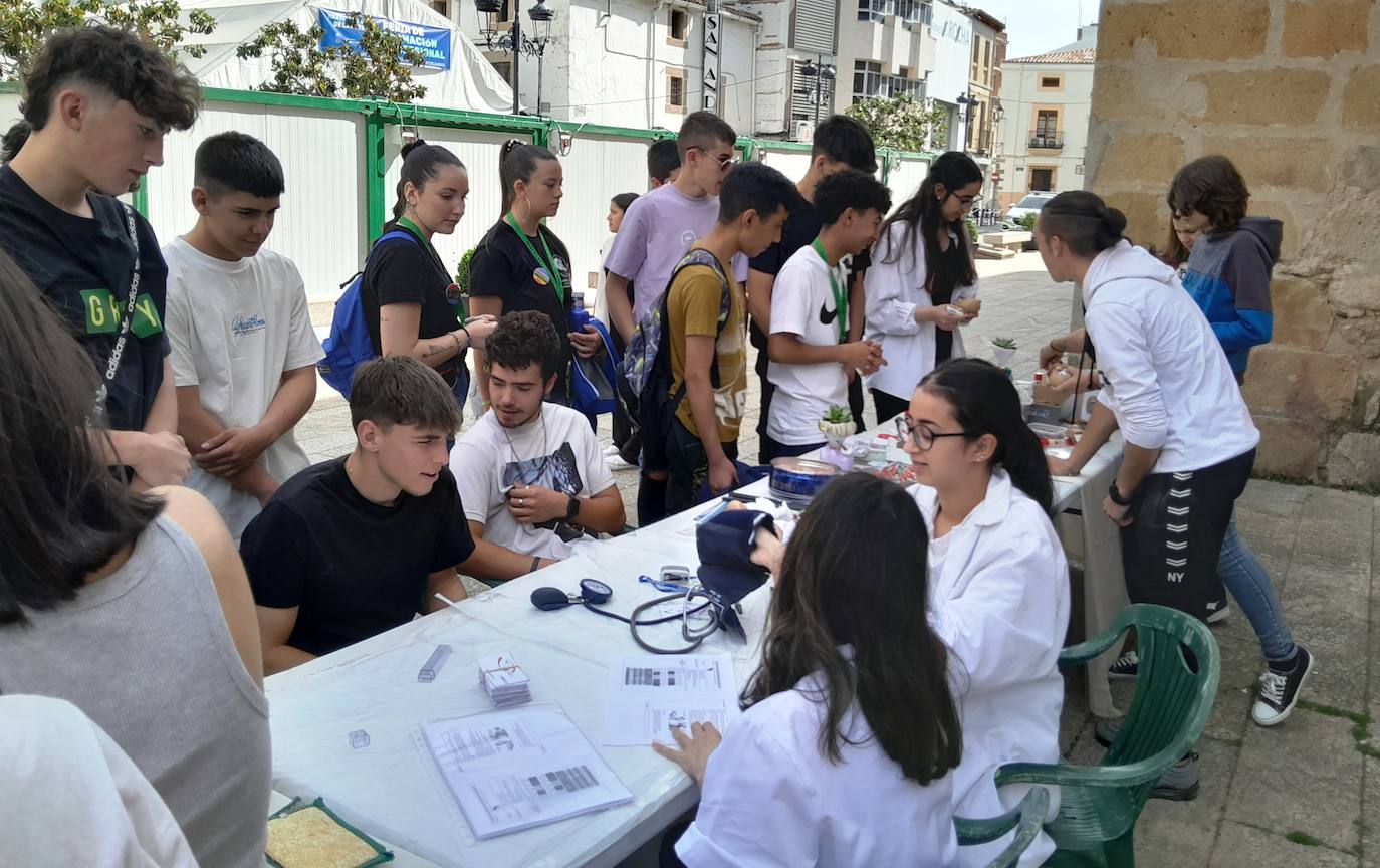 Anterior edición de la feria en la plaza de España