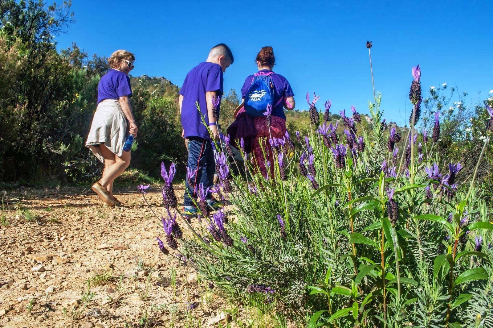 La Ruta Violeta une Higuera de Albalat con Casas de Miravete