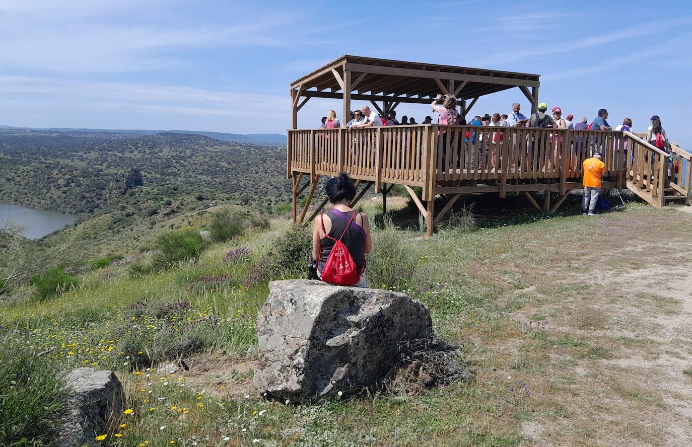 La XX Ruta a Peñaflor reúne a más de 200 senderistas