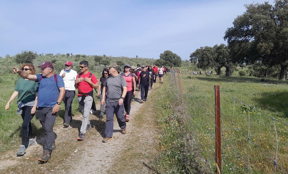 La XX Ruta a Peñaflor reúne a más de 200 senderistas