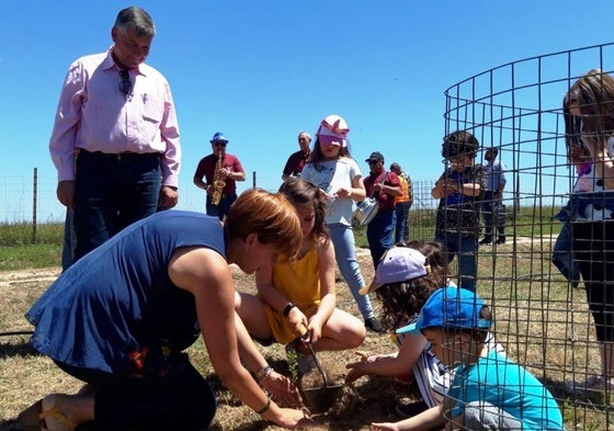 Se plantarán 24 encinas, una por cada edición de la fiesta