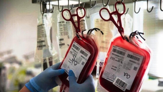 El instituto Albalat acogerá el miércoles una extracción de sangre especial