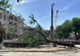 Las obras del tren eliminan la plaza de las cigüeñas