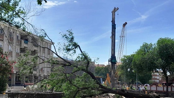 Las obras del tren eliminan la plaza de las cigüeñas